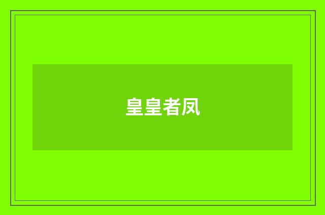 皇皇者凤