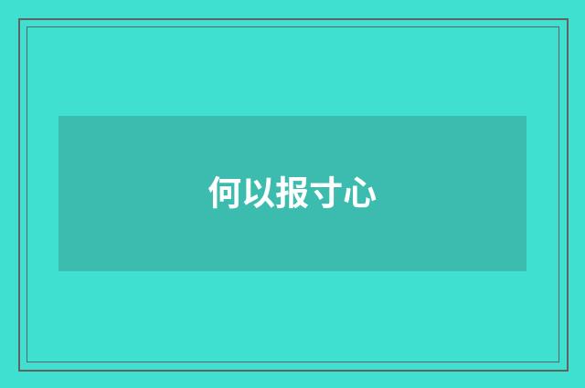 何以报寸心