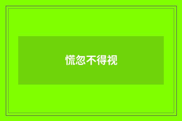 慌忽不得视