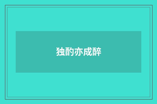 独酌亦成醉