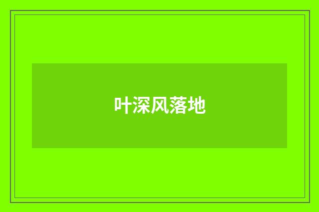 叶深风落地
