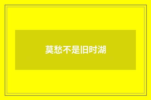 莫愁不是旧时湖