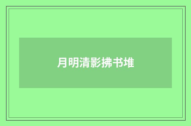 月明清影拂书堆