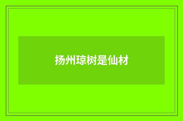 扬州琼树是仙材