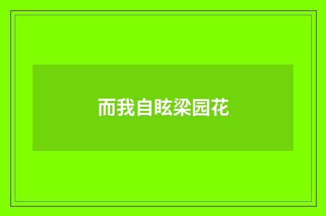 而我自眩梁园花