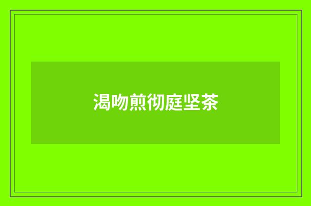 渴吻煎彻庭坚茶
