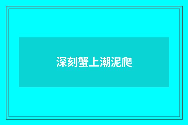 深刻蟹上潮泥爬