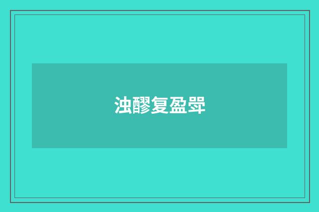 浊醪复盈斝