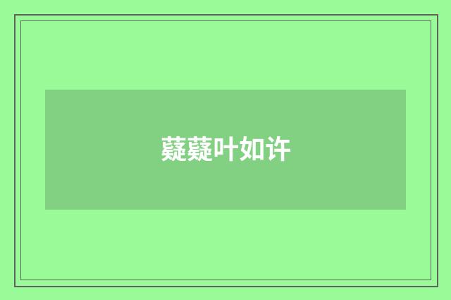 薿薿叶如许
