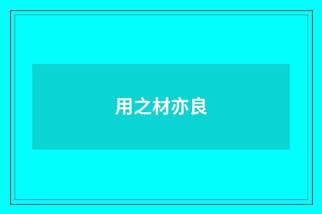 用之材亦良