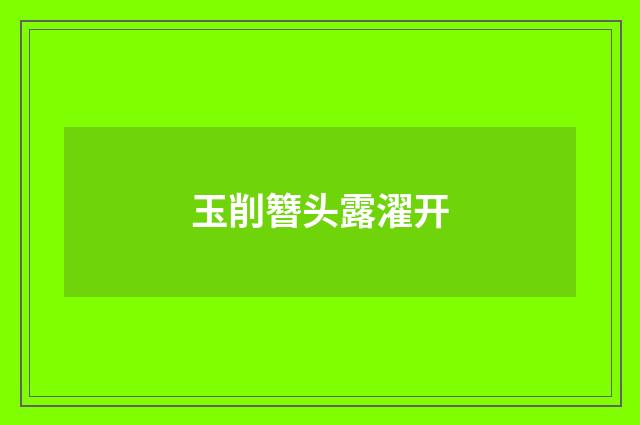 玉削簪头露濯开