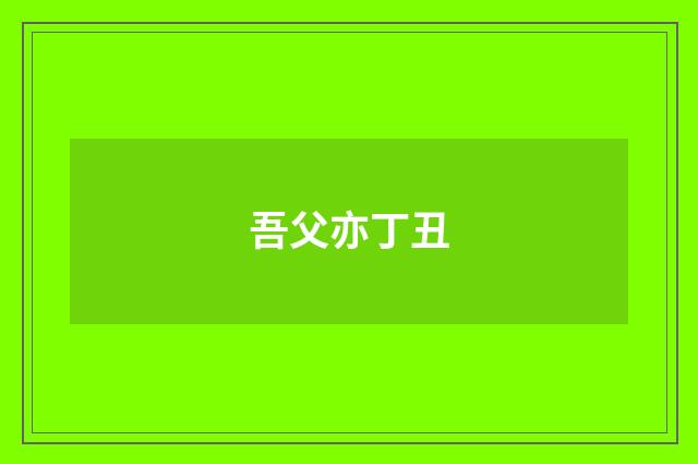 吾父亦丁丑