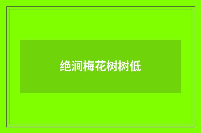 绝涧梅花树树低