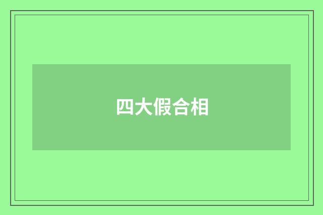 四大假合相