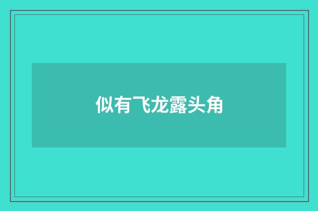 似有飞龙露头角