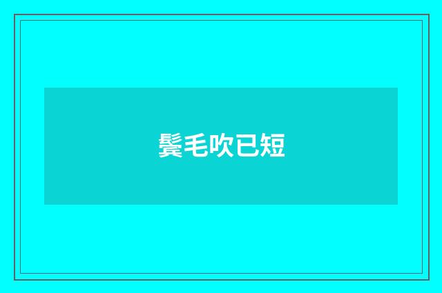 鬓毛吹已短