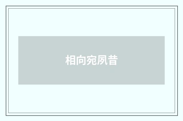 相向宛夙昔