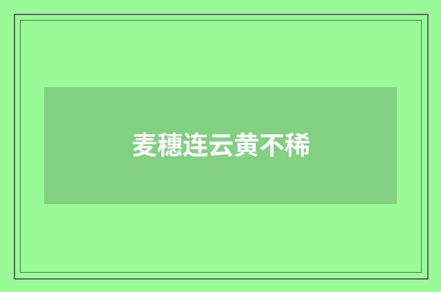 麦穗连云黄不稀