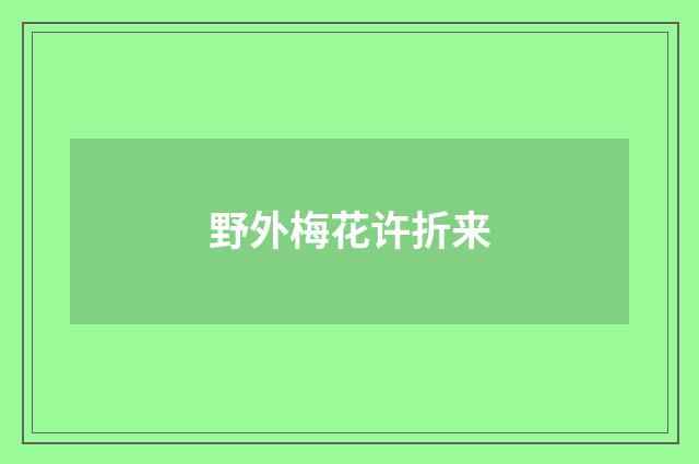 野外梅花许折来