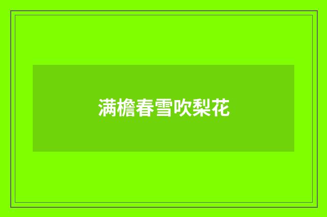 满檐春雪吹梨花