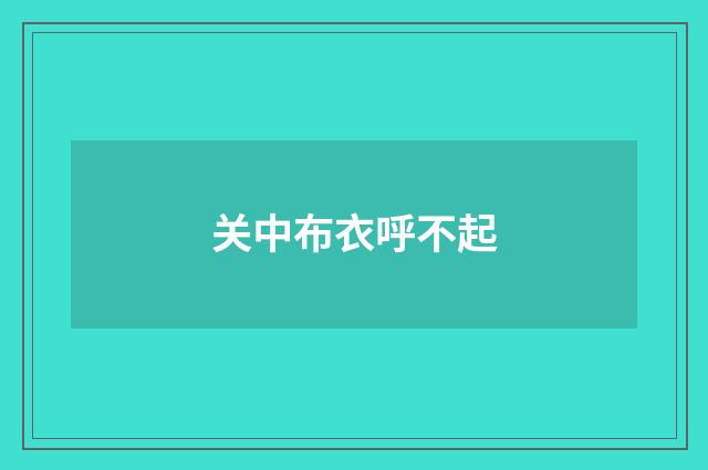 关中布衣呼不起