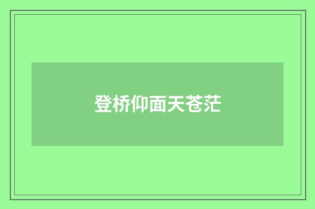 登桥仰面天苍茫