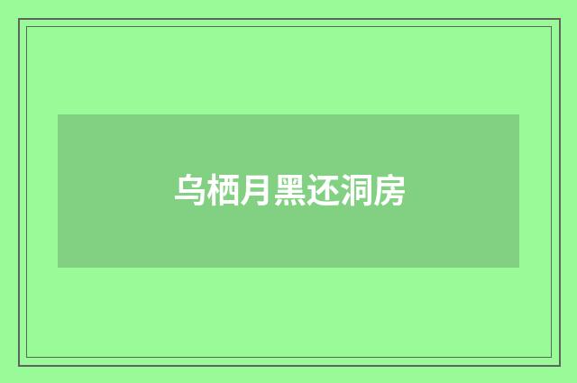 乌栖月黑还洞房