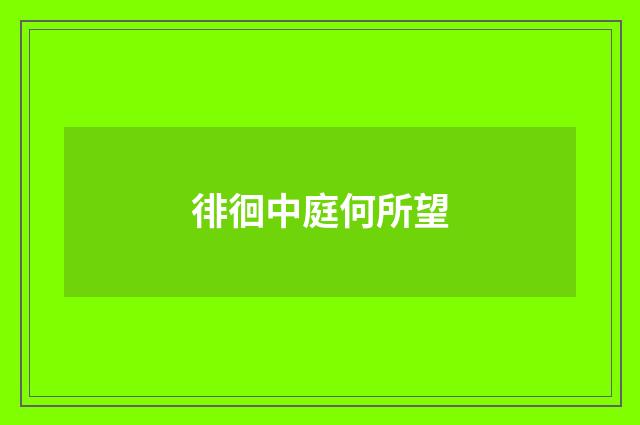 徘徊中庭何所望