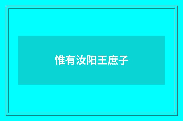 惟有汝阳王庶子