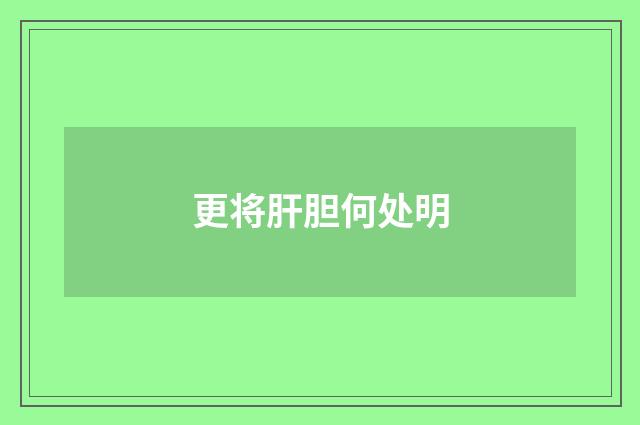 更将肝胆何处明