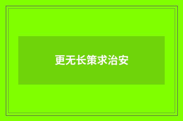 更无长策求治安