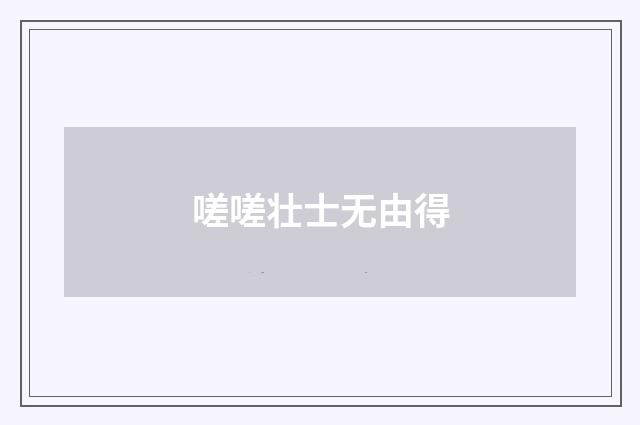 嗟嗟壮士无由得