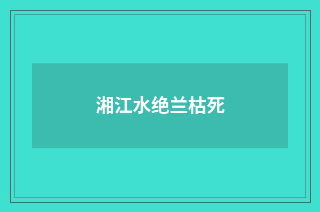湘江水绝兰枯死