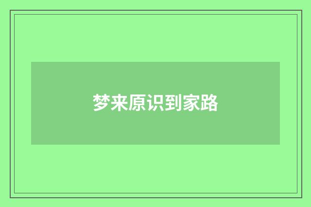 梦来原识到家路