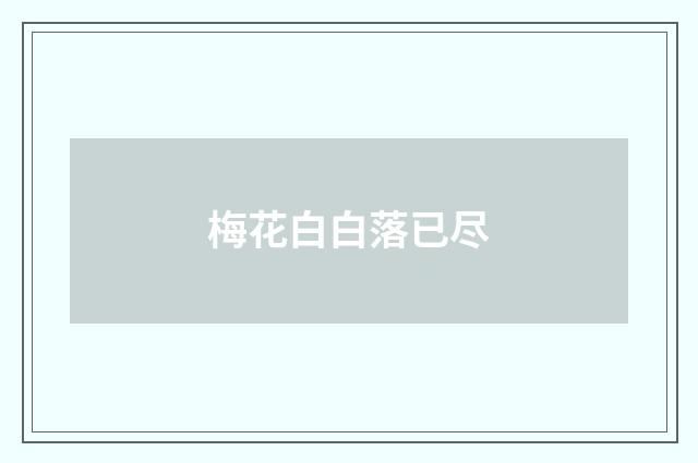 梅花白白落已尽