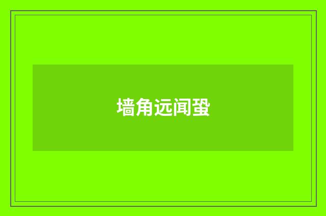墙角远闻蛩