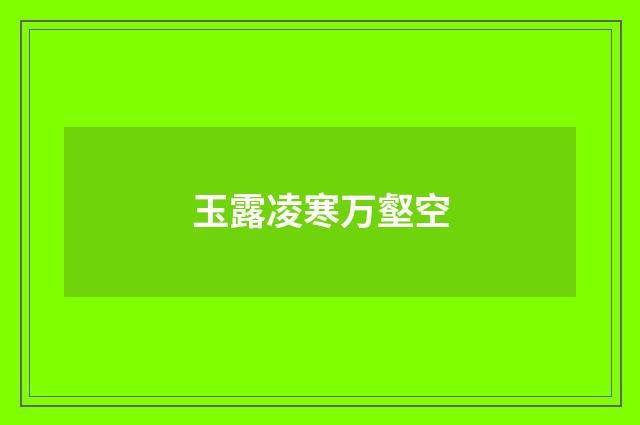 玉露凌寒万壑空