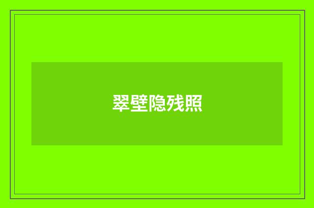翠壁隐残照