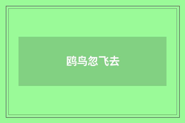 鸥鸟忽飞去