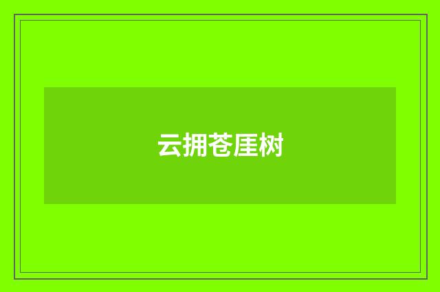 云拥苍厓树