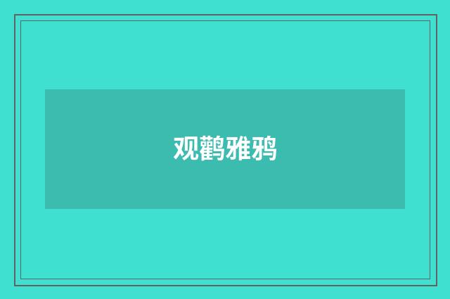 观鹳雅鸦