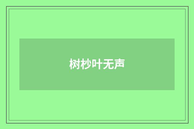 树杪叶无声