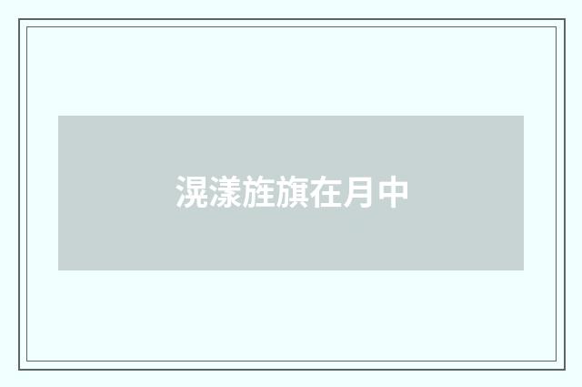 滉漾旌旗在月中