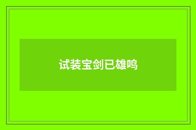 试装宝剑已雄鸣
