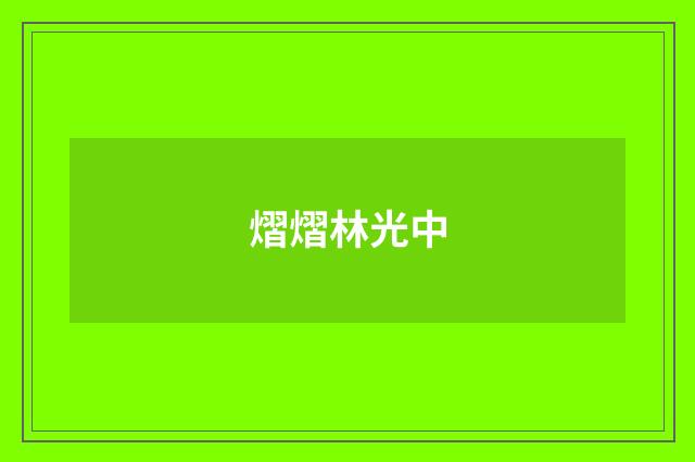 熠熠林光中