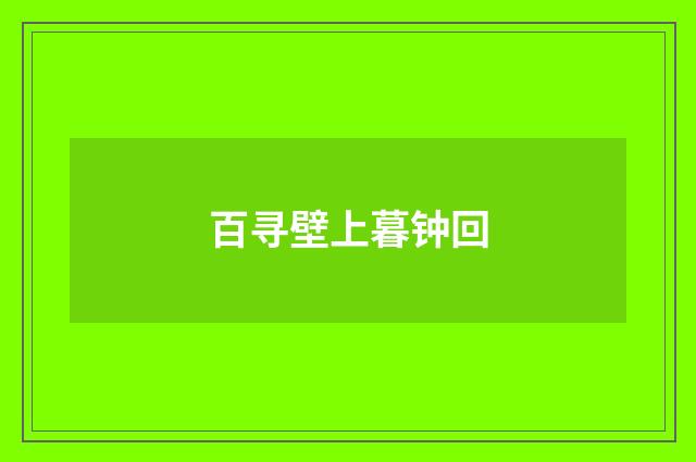 百寻壁上暮钟回