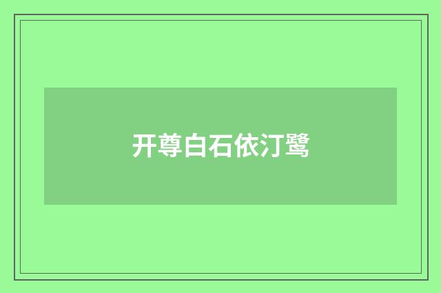开尊白石依汀鹭