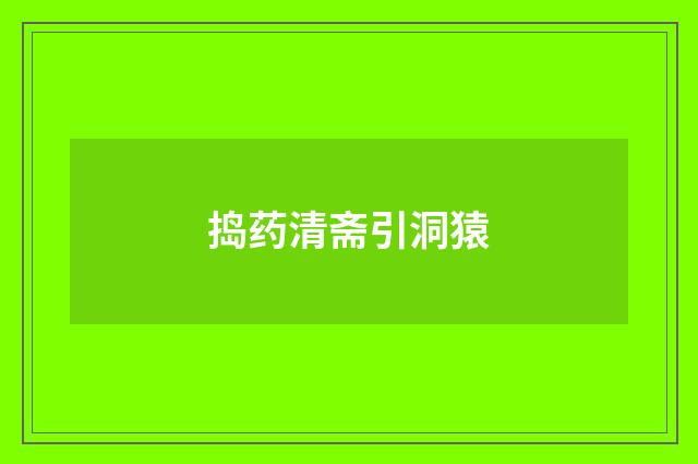 捣药清斋引洞猿