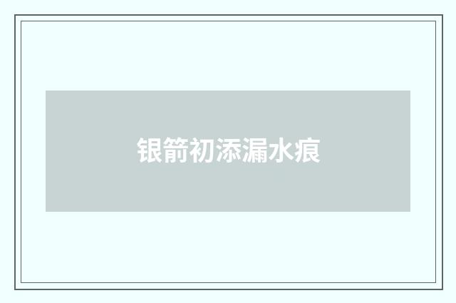 银箭初添漏水痕