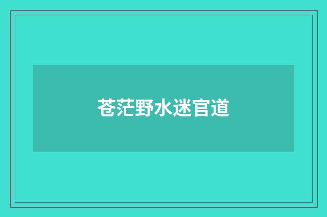 苍茫野水迷官道